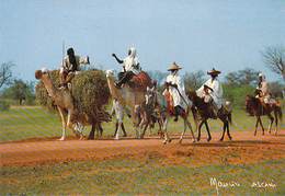 Afrique > NIGER  Sur La Route De FILINGUE Jour De Marché  MAURICE ASCANI 29 *PRIX FIXE - Níger