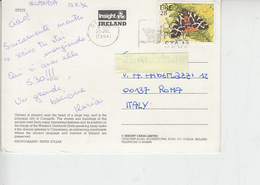 IRLANDA  1994 - Unificato 864 - Farfalla - Storia Postale