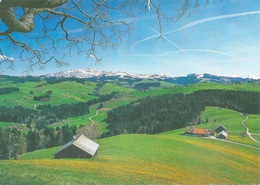 Mogelsberg - Hofstetten, Blick Auf Den Alpstein         Ca. 2000 - Mogelsberg