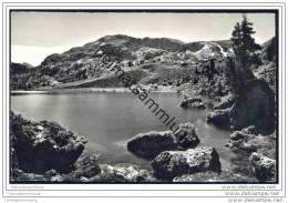 Seebergsee Ob Zweisimmen - Foto-AK 60er Jahre - Zweisimmen