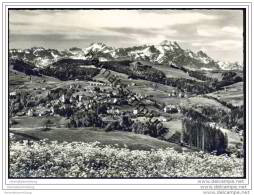 Trogen - Gesamtansicht - Altmann Und Säntis - Foto-AK Grossformat - Trogen