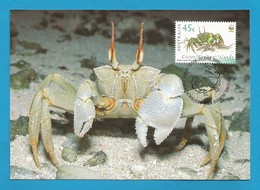 Australien / Cocos (Keeling) Islands  2000  Mi.Nr. 402 , Horn-eyed Ghost Crab - WWF - Maximum Card  20.June 2000 - Cocos (Keeling) Islands