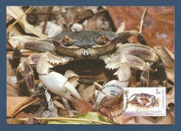 Australien / Cocos (Keeling) Islands  2000  Mi.Nr. 401 , Little Nipper - WWF - Maximum Card  20.June 2000 - Cocos (Keeling) Islands