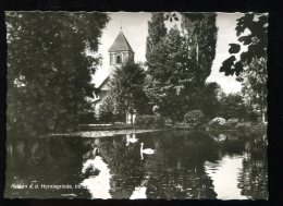 CPM Neuve Allemagne ACHERN Baden A.d. Hornisgrinde. Im Stadtgarten - Achern