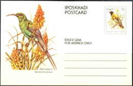 BIRDS- MALACHITE SUN BIRD -PRE PAID PICTURE POST CARD-CISKEI- MC-52 - Colibríes