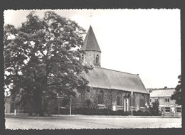 Ooigem / Ooigem A/Leie - Kerk - Fotokaart - Nieuwstaat - Wielsbeke