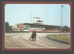 Kuurne - Renbaan / Hippodrome / Racecourse - Paard / Horse - Nieuwstaat - Kuurne