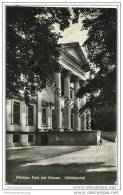 Wörlitzer Park - Schlossportal - Foto-AK 50er Jahre - Woerlitz