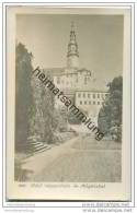 Schloss Weesenstein Im Müglitztal - Foto-AK Handabzug 50er Jahre - Weesenstein A. D. Müglitz