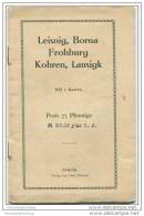 Leisnig - Borna - Frohburg - Kohren - Lausigk 20er Jahre - 16 Seiten Mit 12 Abbildungen - 2 Karten - Sachsen