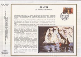 Carte Maximum CEF 2410 Couvin - Les Grottes De Neptune - 1991-2000