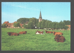 Deerlijk - Zicht Op Sint-Lodewijk - Koeien / Vache / Cow / Kuh - Nieuwstaat - Deerlijk