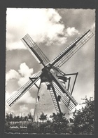Aarsele - Molen - Fotokaart - Nieuwstaat - Moulin / Mill - Tielt