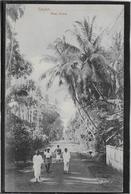 Ceylan - Road Scene - Sri Lanka (Ceylon)