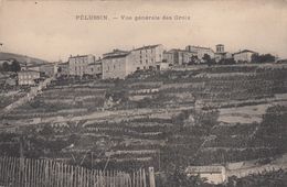 Cp , 42 , PÉLUSSIN , Vue Générale Des Croix - Pelussin