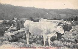 Bagnères De Luchon     31    Cultivateur Et Attelage De Boeufs    (voir Scan) - Sonstige & Ohne Zuordnung