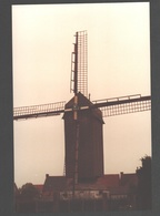 Werken - Kruisstraatmolen Of Berghesmolen - Moulin / Mill / Molen - Originele Foto - Kortemark