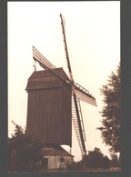 Werken - Kruisstraatmolen Of Berghesmolen - Moulin / Mill / Molen - Originele Foto - Kortemark