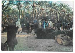 Tunisie - NEFTA - Le Marché - 1973 - Tunisie