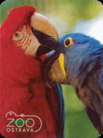 Zoo Ostrava (CZ) - Macaws - Tierwelt & Fauna