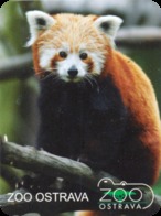 Zoo Ostrava (CZ) - Red Panda - Dieren & Fauna