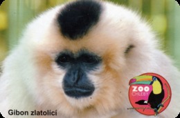 Zoo Chleby (CZ) - Gibbon - Animales & Fauna