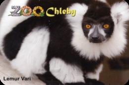 Zoo Chleby (CZ) - Black And White Lemur - Tierwelt & Fauna