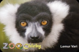 Zoo Chleby (CZ) - Black And White Lemur - Tierwelt & Fauna