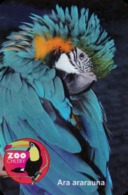 Zoo Chleby (CZ) - Macaw - Dieren & Fauna