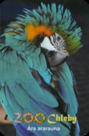 Zoo Chleby (CZ) - Macaw - Tierwelt & Fauna