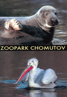 Zoopark Chomutov (CZ) - Seal, Pelican - Animaux & Faune