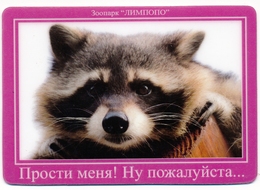 Zoo Limpopo Nizhniy Novgorod (RU) - Raccoon - Animali & Fauna