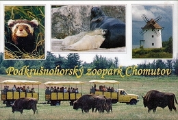 Zoopark Chomutov (CZ) - Marbled Polecat, Seal, Wisent, Mill - Tierwelt & Fauna