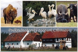 Zoopark Chomutov (CZ) - Wisent, Pelican, Buffalo, Farm - Animali & Fauna