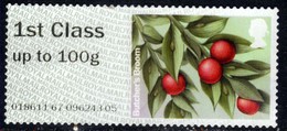 GB 2017 QE2 1st To 100 Gms Post & Go Butchers Broom Flower No Gum (D1257) - Post & Go Stamps