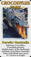 Crocodylus Park Darwin (AU) - Crocodile - Animali & Fauna