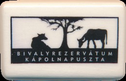 Bivalyrezervatum Kapolnapuszta (HU) - Buffalo - Dieren & Fauna