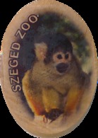 ZOO Szeged (HU) - Squirrel Monkey - Tierwelt & Fauna