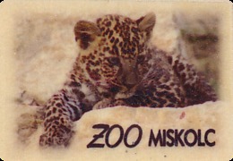 ZOO Miskolc (HU) - Baby Leopard - Dieren & Fauna