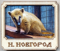 ZOO Limpopo Nizhniy Novgorod (RU) - Coati - Animales & Fauna