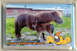 Park Of Living Nature "Dodo" Anapa (RU) - Pony - Animali & Fauna