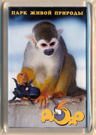 Park Of Living Nature "Dodo" Anapa (RU) - Squirrel Monkey - Tierwelt & Fauna