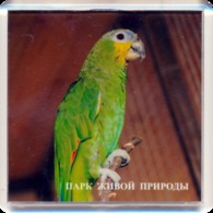 Park Of Living Nature "Dodo" Anapa (RU) - Amazon - Animali & Fauna