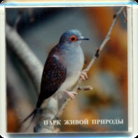 Park Of Living Nature "Dodo" Anapa (RU) - Pigeon - Tierwelt & Fauna