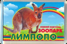 ZOO Limpopo Nizhniy Novgorod (RU) - Wallaby - Animales & Fauna