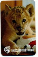 ZOO Novosibirsk (RU) - Baby Lion - Animali & Fauna