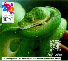 ZOO Perm (RU) - Tree Python - 3D Magnet - Animales & Fauna