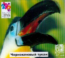 ZOO Perm (RU) - Toucan - 3D Magnet - Dieren & Fauna