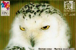 ZOO Perm (RU) - Snwy Owl - 3D Magnet - Animals & Fauna