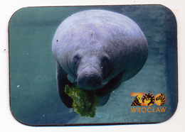 ZOO Wroclaw (PL) - Manatee - Tierwelt & Fauna